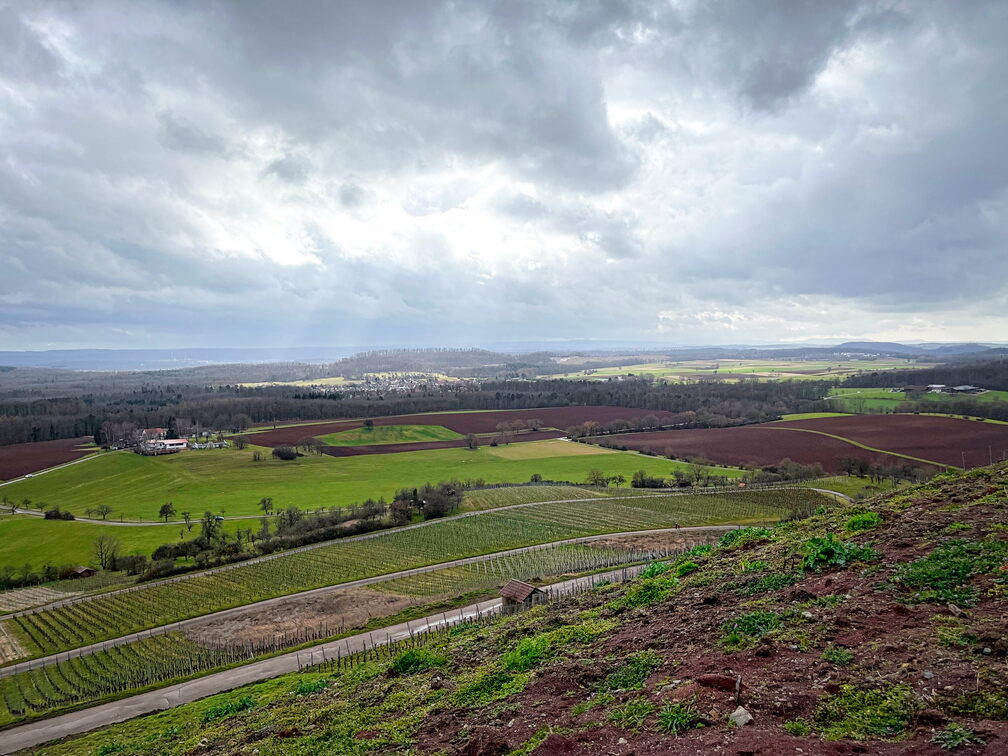 23-03-12 14-44-10 4797